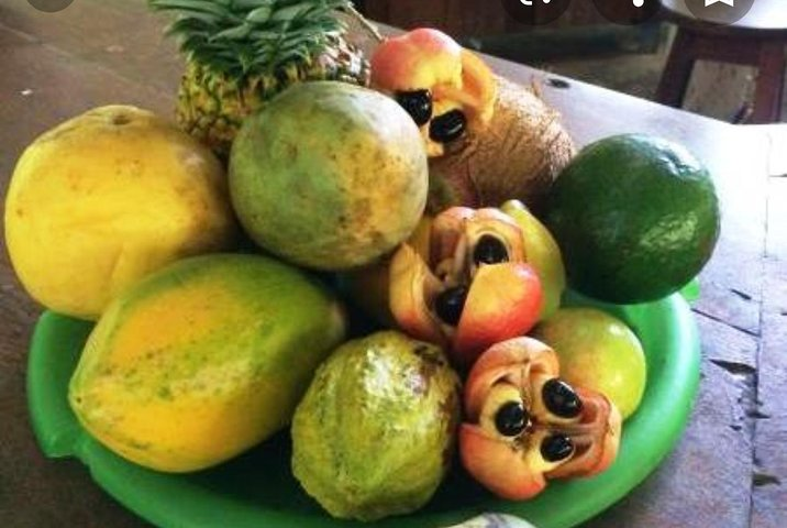 Sun Valley farm Tour  - Photo 1 of 6