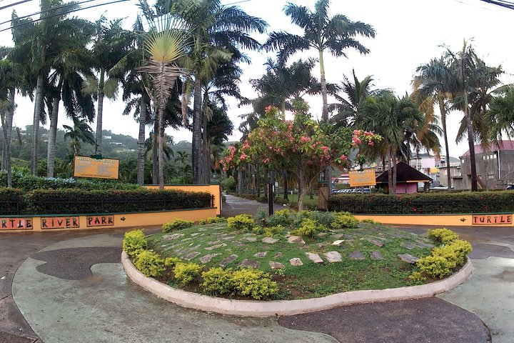 Turtle River Park and Panoramic Sightseeing in the Hills  - Photo 1 of 22