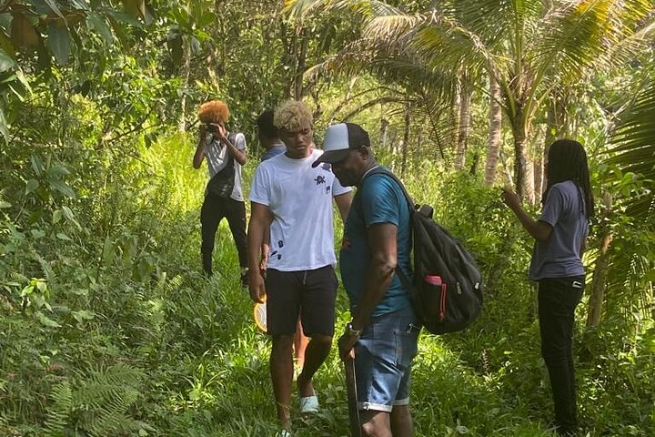 Hiking & Safari Tour