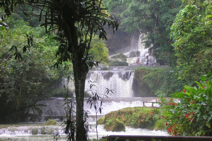 YS Falls