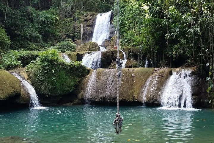 Ys Falls, Black River Safari and Appleton Estate Private Tour - Photo 1 of 6