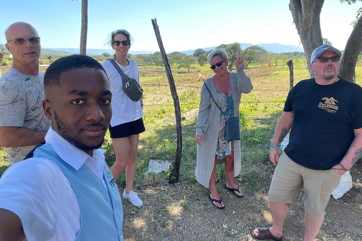 YS Falls Half Day Tour - Photo 1 of 11