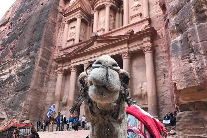 Petra tour 