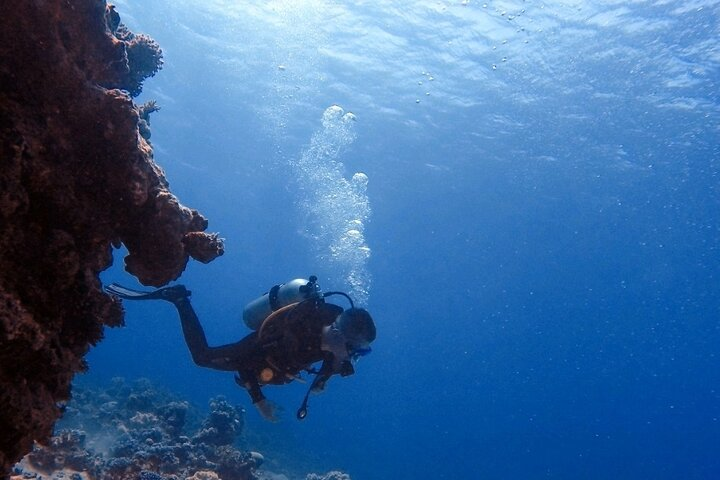 Guided Scuba Diving Adventure in Aqaba in Aqaba Pelago