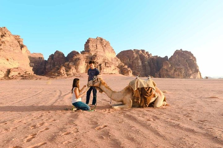 Wadi rum overnight