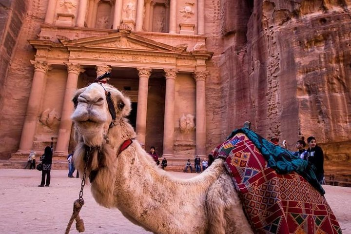 Petra & Wadi Rum - One day tour - Photo 1 of 5