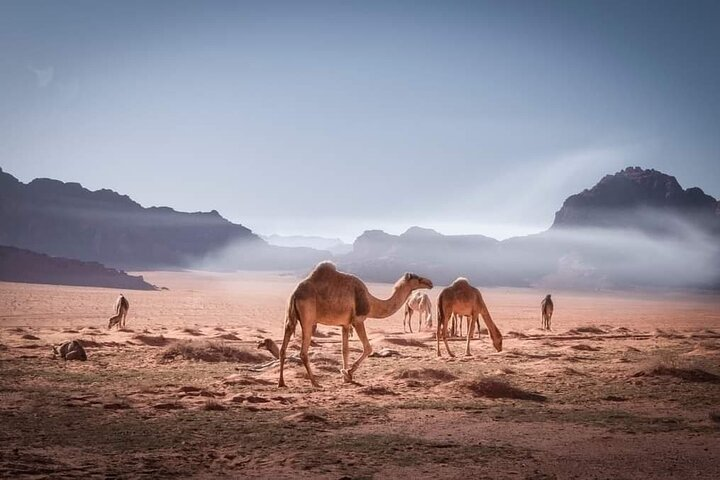 Private 5-Day Tour in Jodan - Photo 1 of 2