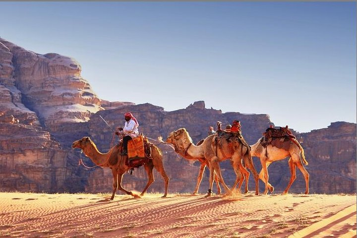 Camel ride in Wadi Rum