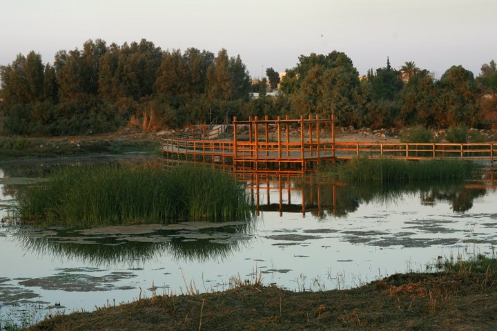 Private Shaumari Wildlife Experience and Overnight at Azraq Wetland Reserve. - Photo 1 of 17