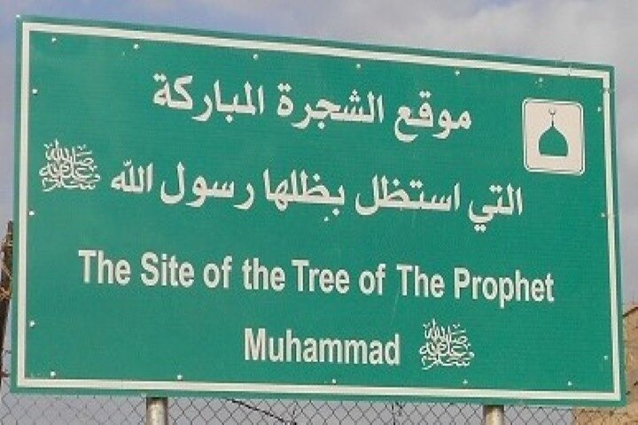 Jordan Islamic Private Tour: Muhammad’s Tree & The Sleepers Cave - Photo 1 of 6