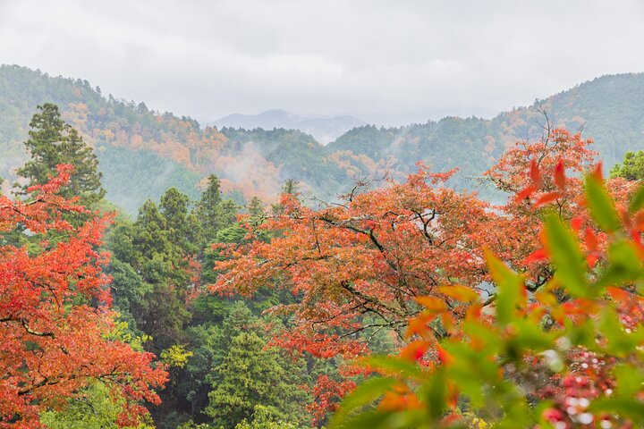 A stunning mountain view in autumn at Kuramadera