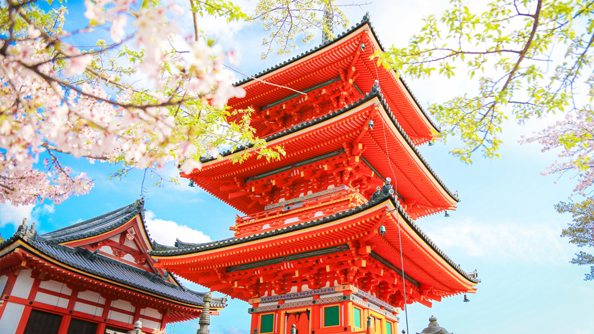 Experience the charm of Kiyomizu-dera's stunning architecture framed by cherry blossoms. Immerse yourself in the rich history and scenic beauty that Kyoto and Nara have to offer.