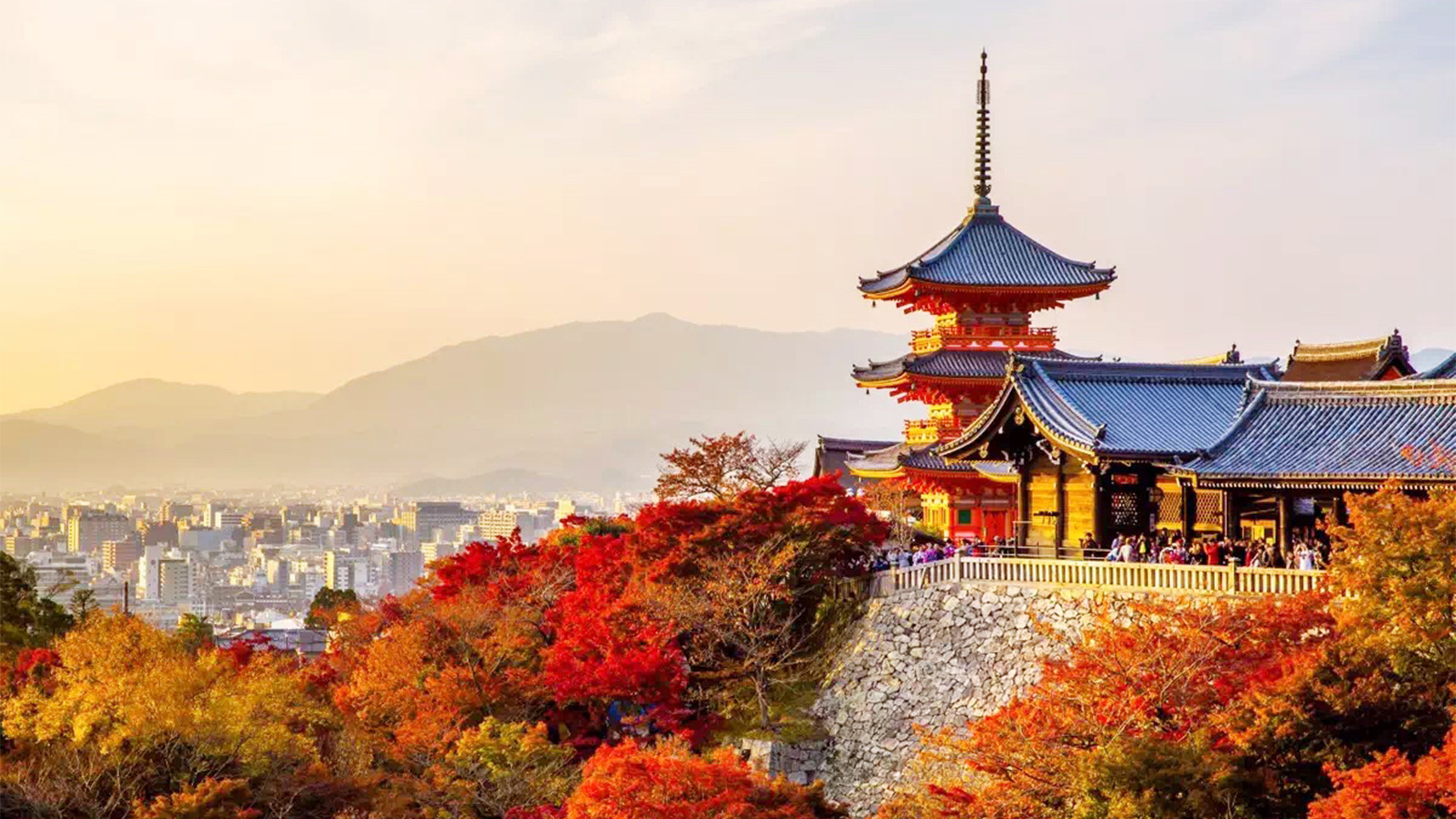 1206-0613_1-day-kyoto-nara-