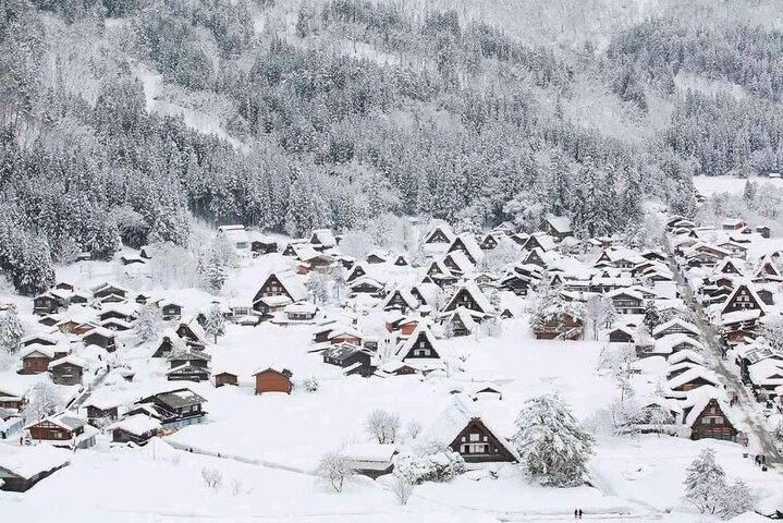 1 Day Private Charter Tour to Shirakawa-go & Takayama - Photo 1 of 25