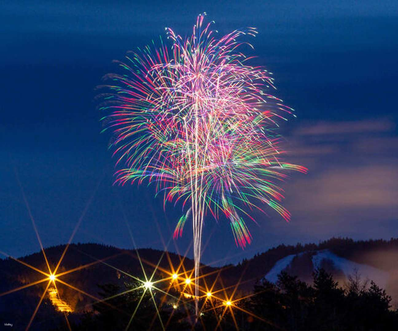 1 Day tour: Enjoy the Zekkei Fireworks at Mt. Fuji and  the romantic pink moss! - Photo 1 of 7