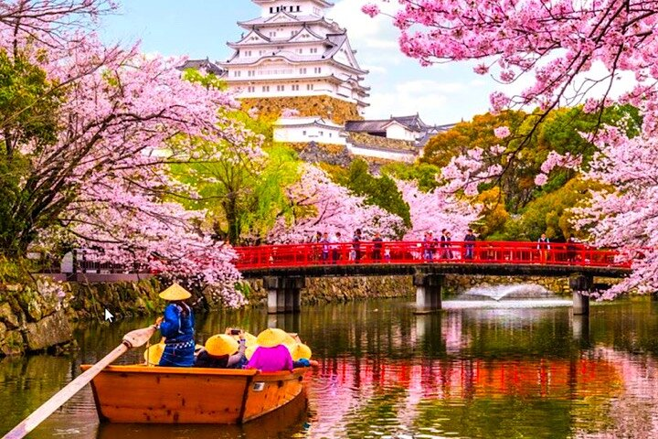 10-Day Private Sightseeing Tour in Japan more than 60 Attractions - Photo 1 of 25