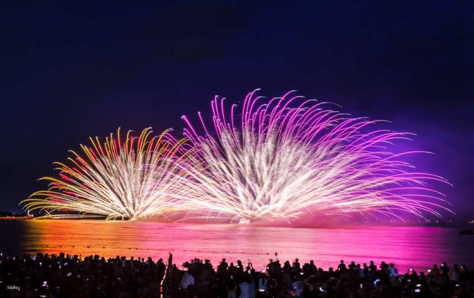 11AUG Enjoy Mikuni Fireworks from Reserved Seat 1 Day Bus Tour from Nagoya - Photo 1 of 6