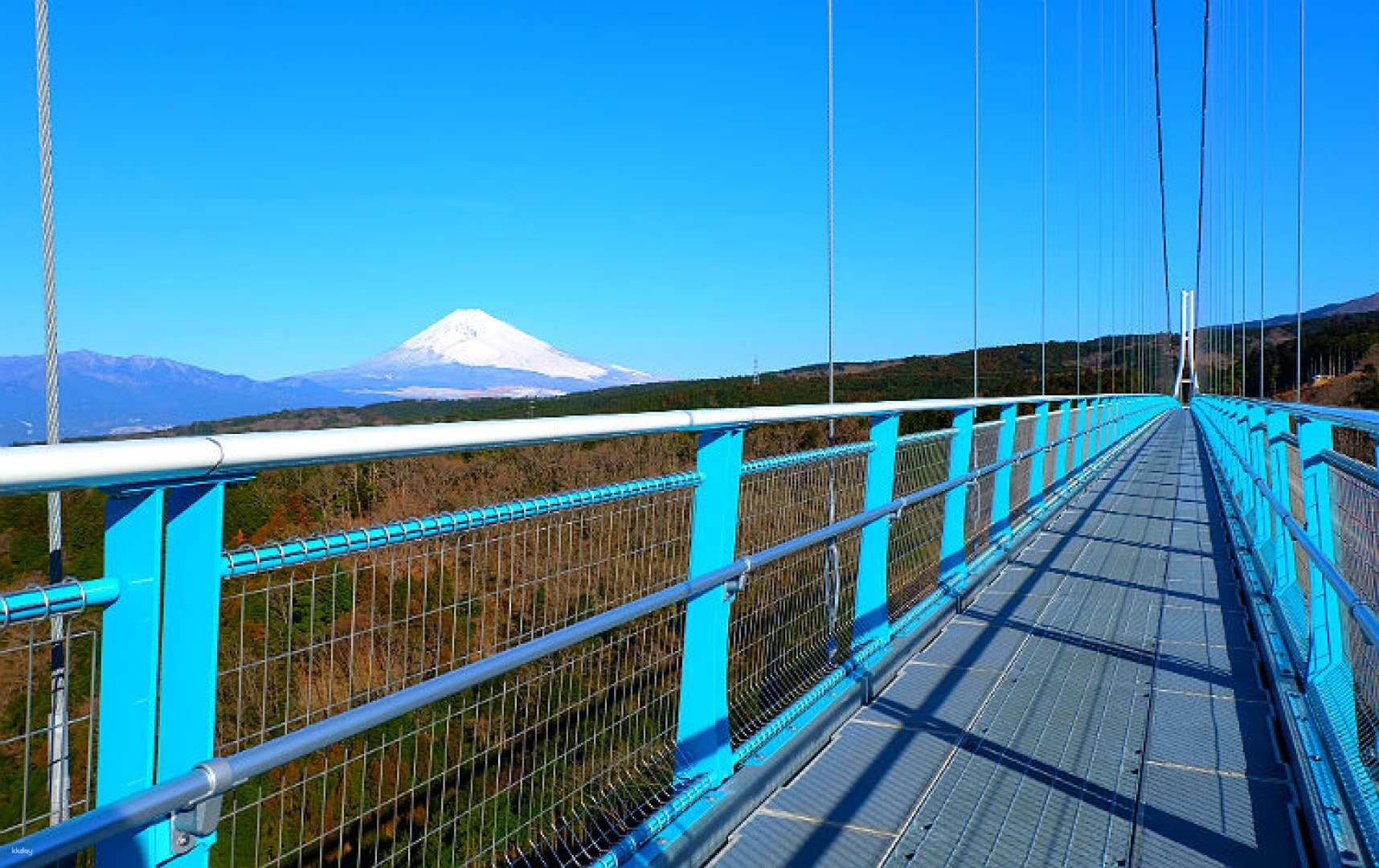 [Early Spring/20% OFF during the Sakura Season] 2-Day 1-Night Romantic Izu Spring Cherry Blossom Tour｜The perfect encounter of cherry blossoms, Mt. Fuji, hot springs and fireworks! - Photo 1 of 15