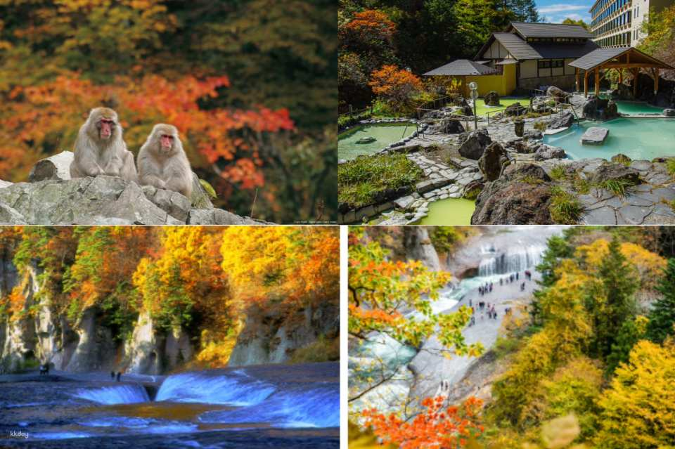 2-Day Japan Fall Foliage Tour | Karuizawa Manza Fukiwara Falls, Kusatsu Onsen, and Monkey Hot Springs (Depart from Shinjuku) - Photo 1 of 10