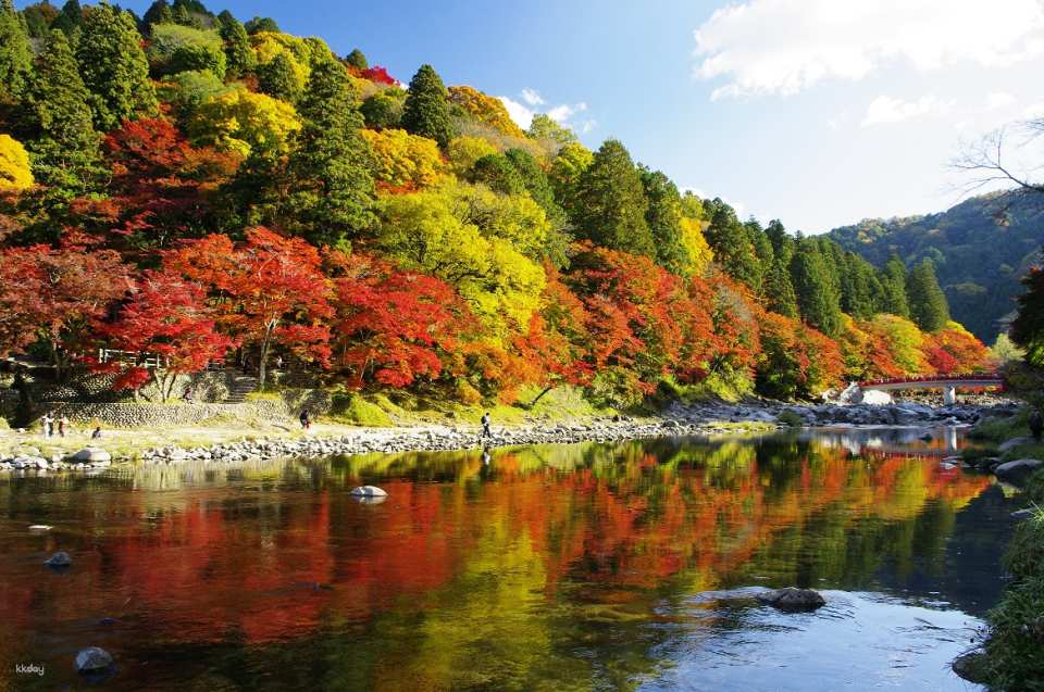 2-day tour | Same price per person per room | Enjoy gourmet food such as eel, crab, and Nagoya cuisine | 2-day tour of Korankei, Nabana no Sato, and the autumn leaves of the national treasure Inuyama Castle (departing from Tokyo) - Photo 1 of 10