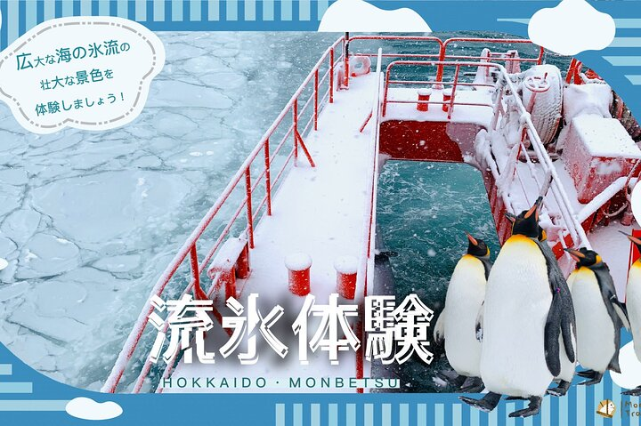 Hokkaido Winter 2-Day Tour: Icebreaker Cruise, Sounkyo & Zoo - Photo 1 of 11