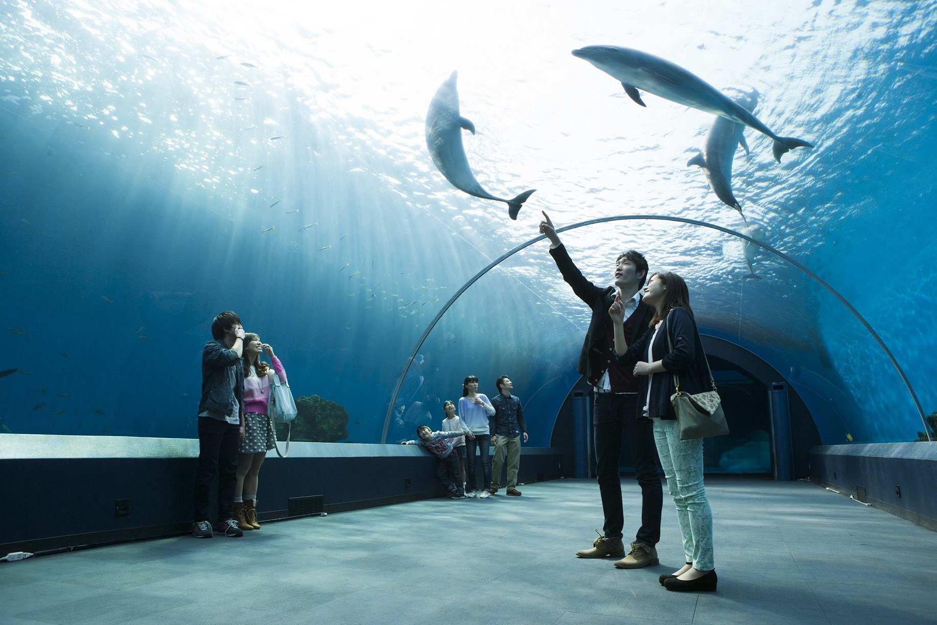 2025 Yokohama Hakkeijima Sea Paradise Ticket - Photo 1 of 5