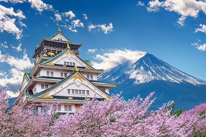 Experience iconic sights as cherry blossoms frame majestic castles and the picturesque Mt. Fuji immersing travelers in Japan's rich history and stunning natural beauty throughout this remarkable journey.
