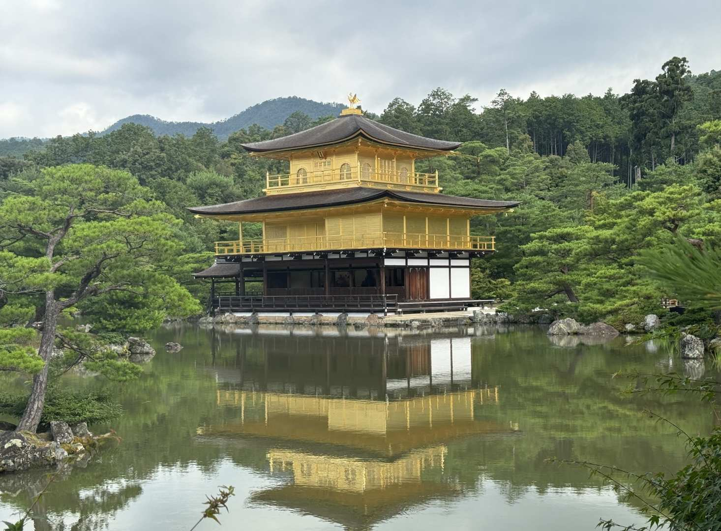 90-minute guided tour of Kinkakuji Temple in Kyoto - Photo 1 of 9
