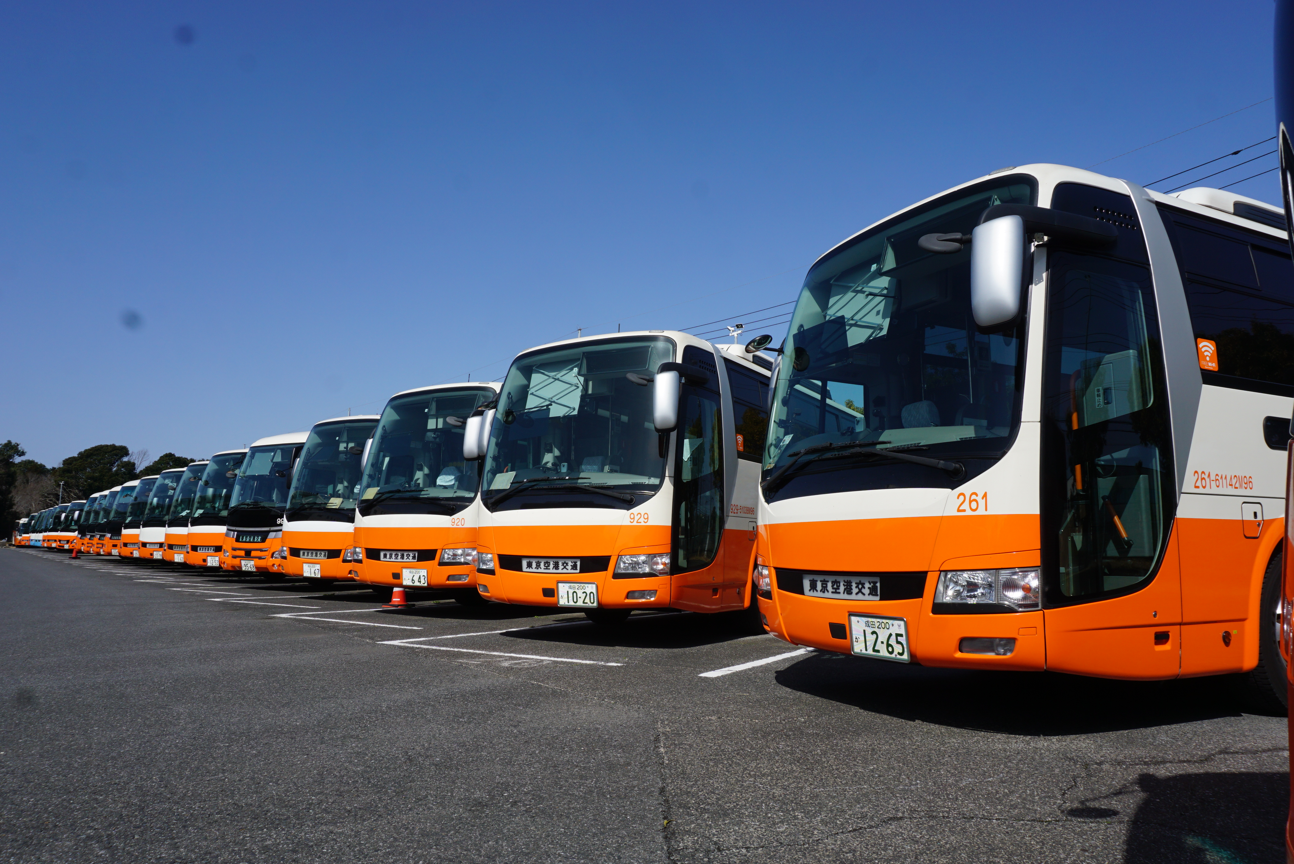 Airport Limousine Bus - Arrival at Narita Airport - Photo 1 of 9