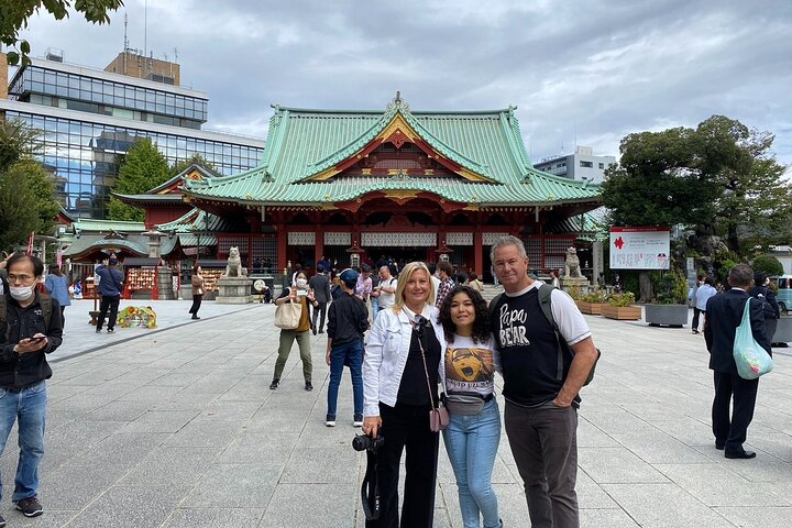 Akihabara Flavors and Anime Fun Private Guided Tour for All Ages