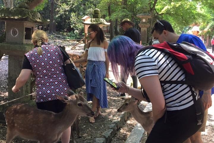 All must-sees in 3 hours - Nara Park Classic Tour! From JR Nara! - Photo 1 of 7