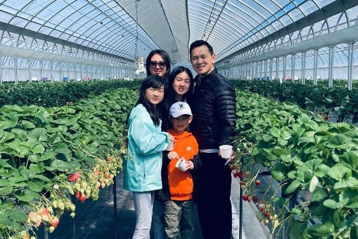 All You Can Eat Strawberry Picking in Izumisano Osaka  - Photo 1 of 25