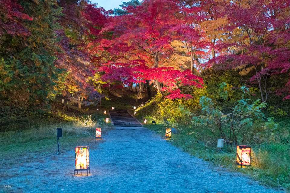 Oirase Gorge & Aomori Fall Foliage Highlights Bus Tour with Lunch - Photo 1 of 7