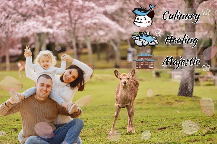 Experience the tranquility of Arima Onsen savor local flavors at Kuromon Market shop at Kobe Sanda Outlets and enjoy playful moments with deer in scenic Nara Park.