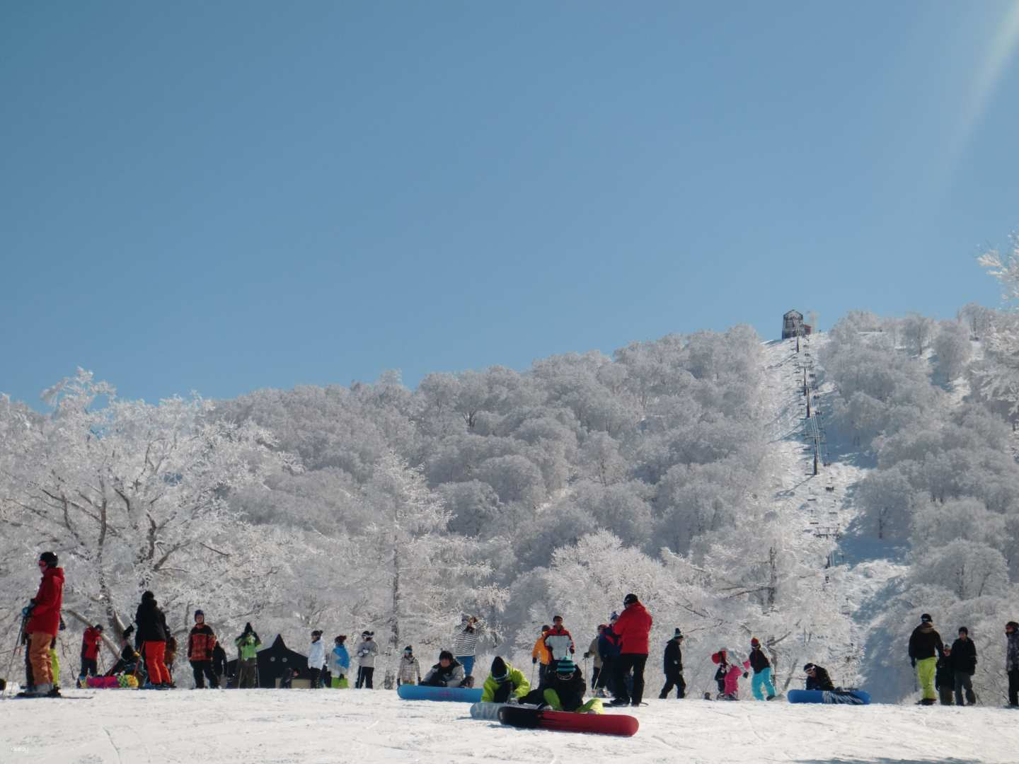 [Departing from Shinjuku] Day Trip to Nozawa Onsen Ski Resort (Nagano Prefecture) | Night Bus + Lift Ticket | Gear Rental Option Available - Photo 1 of 4