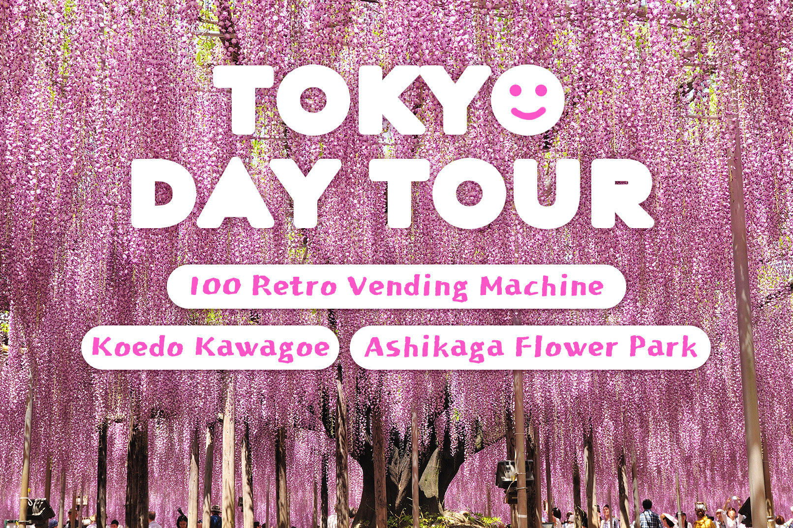 Ashikaga Flower Park + Koedo Kawagoe + 100 Retro Vending Machine - Photo 1 of 10