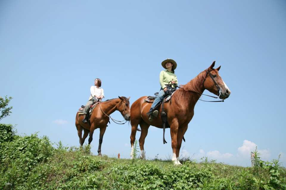Aso Horseback Riding Experience Tour Horse Trekking (Aso City, Kumamoto Prefecture) - Photo 1 of 4