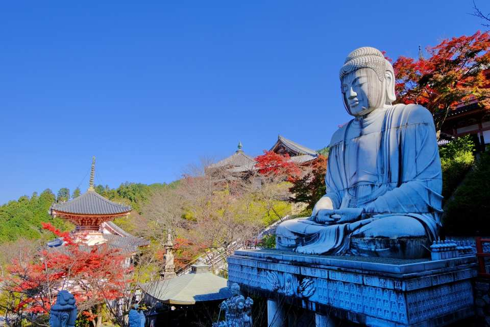 Autumn Leaves Buddha and Mt.Yoshino with Orange Picking Tour - Photo 1 of 9