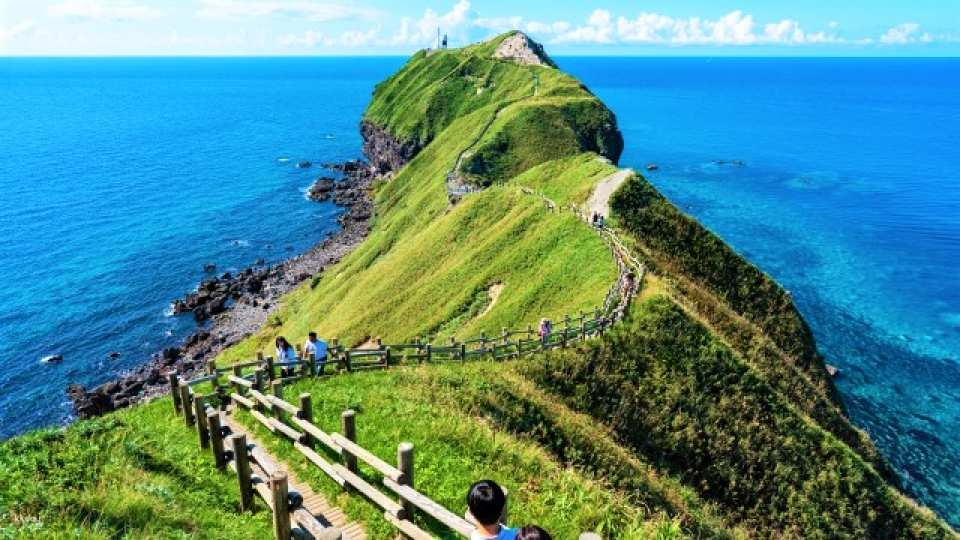 Shakotan Blue Coastal Tour: Cape Kamui & Premium Seafood Bowl - Photo 1 of 15