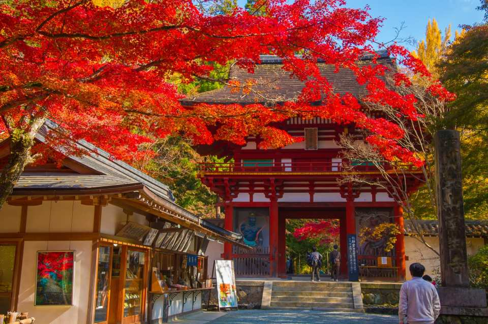 Autumnal Scenery | Nara's Most Famous Autumn Foliage Spots! Guide to Ancient Temples and Temples - Difficult to Visit on Your Own! Four Autumn Foliage Spots in Nara's Yamatoji Region [Departing from Umeda, Namba, and Kyoto] - Photo 1 of 4