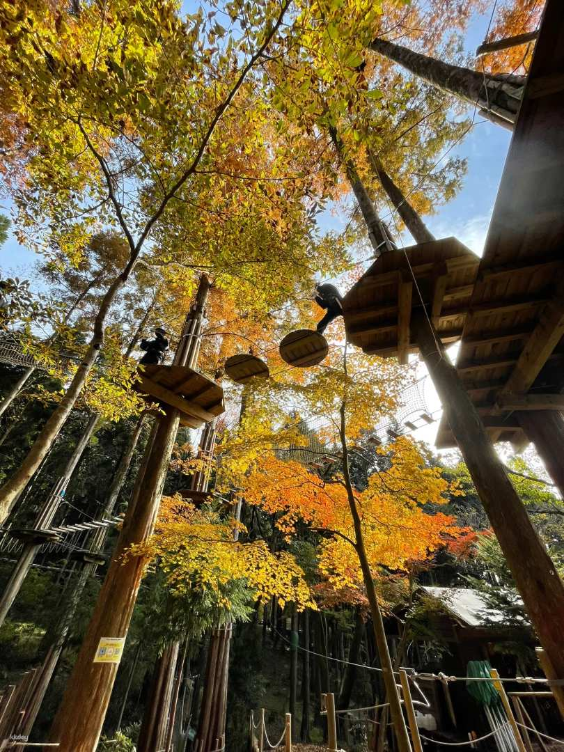 別府温泉の森で自然満喫の空中散歩！家族・友人みんなで楽しめる樹上アスレチック【フォレストアドベンチャー・別府】 - Photo 1 of 10