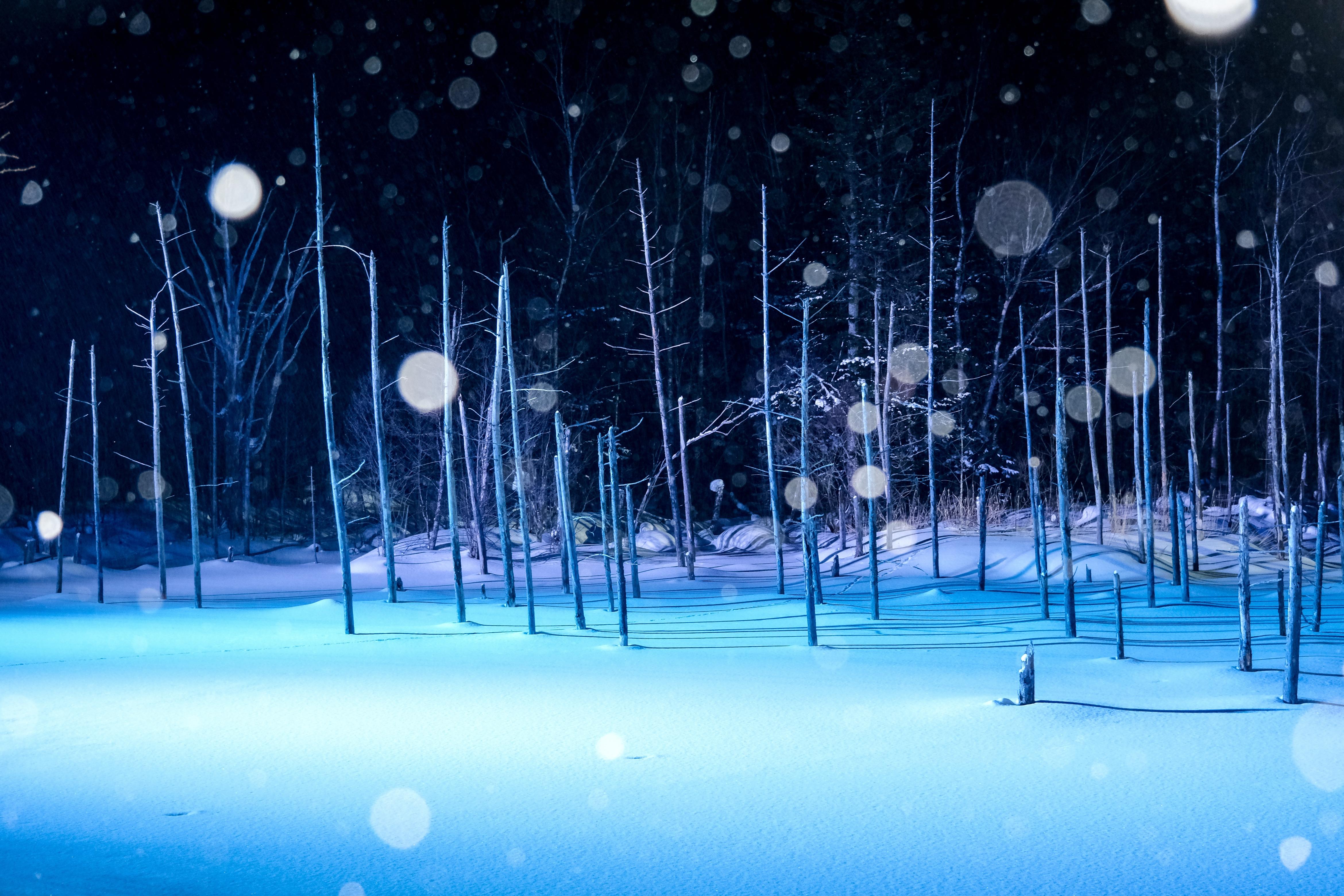 [Late Departure] Biei Best 5 Photo Spots Day Tour from Sapporo - Photo 1 of 10