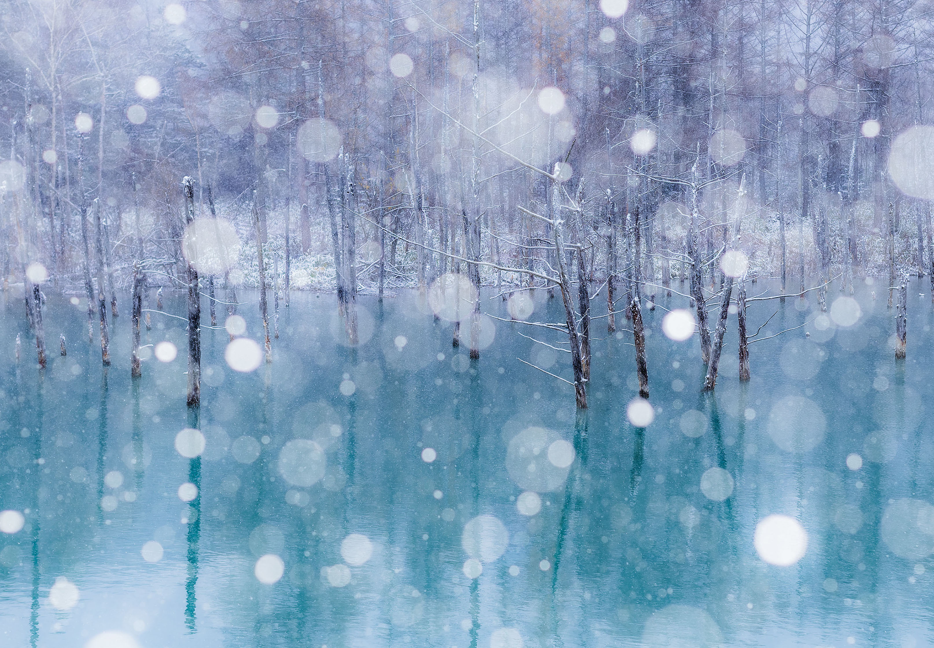 [Late Departure] Biei Best 5 Photo Spots Day Tour from Sapporo - Photo 1 of 10