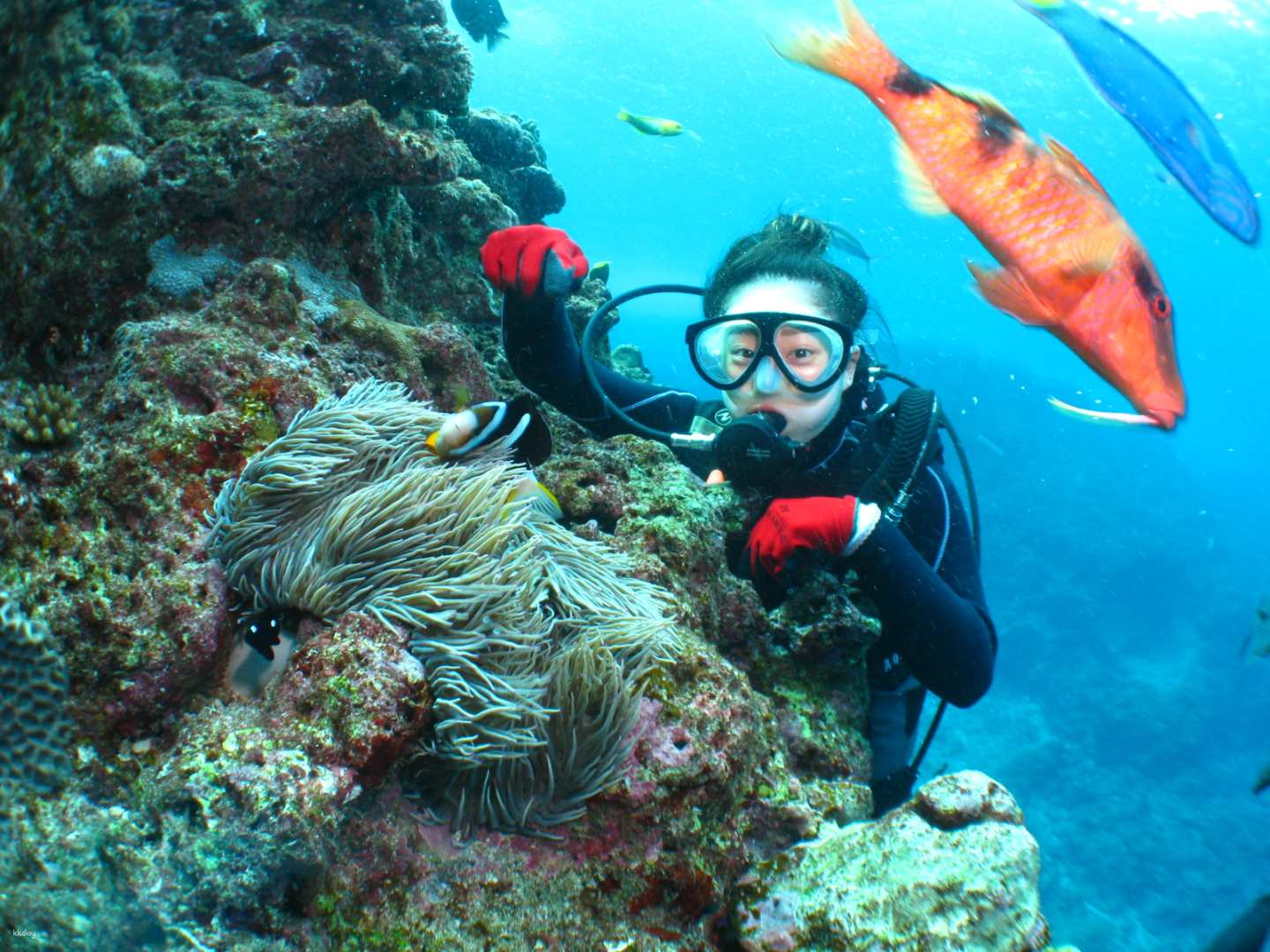 【Japan】Okinawa Blue Cave Snorkeling and Diving Experience｜Professional Diving Instructor｜Multilingual Teaching - Photo 1 of 14