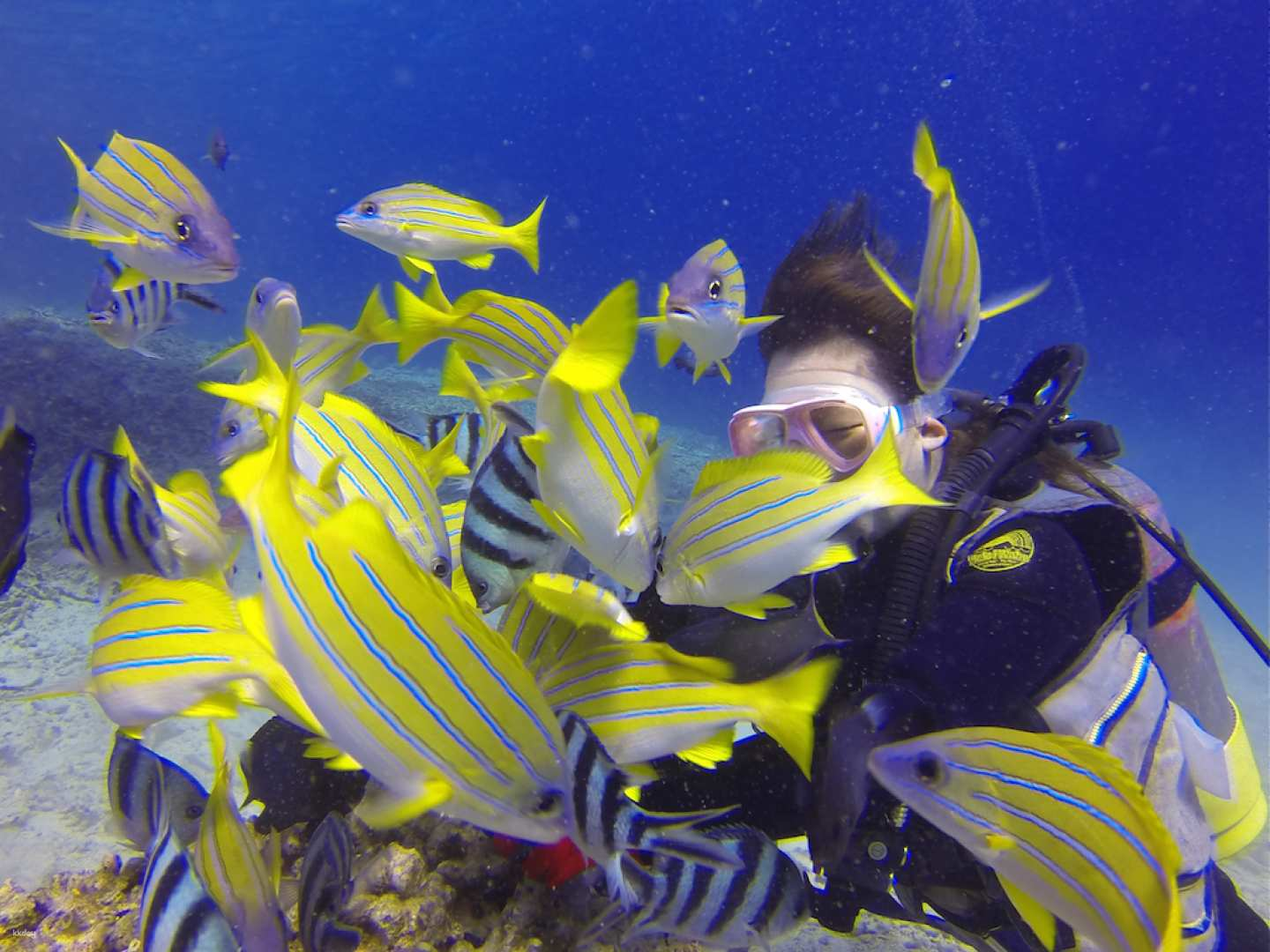 Blue Cave + Kumanomi Castle Boat Experience Diving | Photo data provided / charter service by Sealovers Okinawa | Cape Maeda, Onna Village - Photo 1 of 9