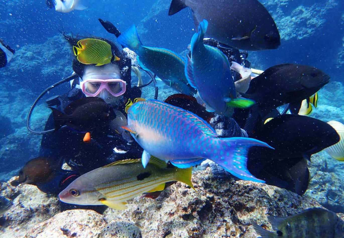 Dive into the stunning underwater world of Okinawa where colorful marine life surrounds you and the magical glow of the Blue Cave awaits exploration. Discover a paradise like no other!