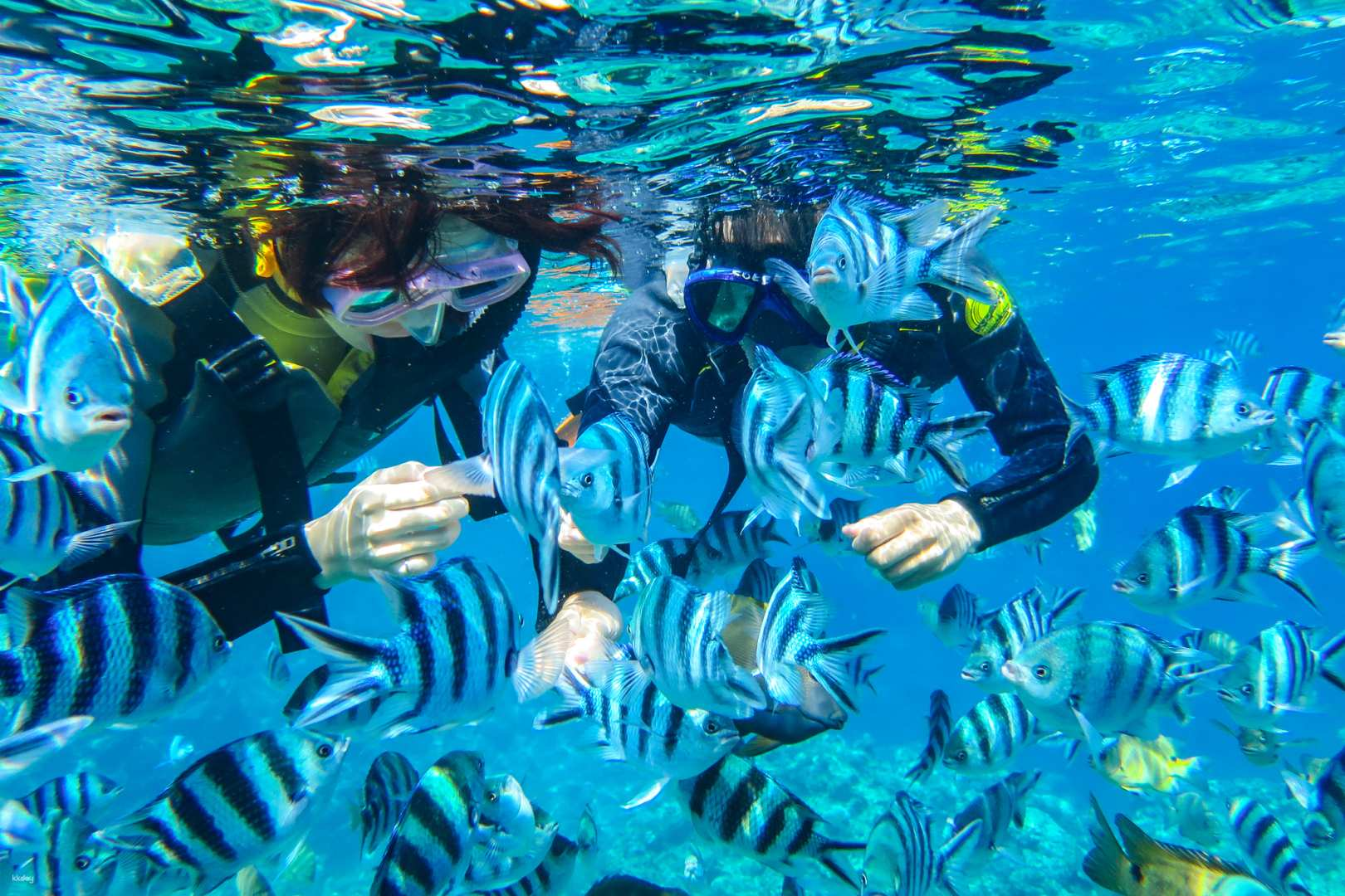 Okinawa Onna Village Blue Cave Snorkeling Private Tour With Private Okinawa Onna Village Blue Cave Snorkeling Private Tour With Private
