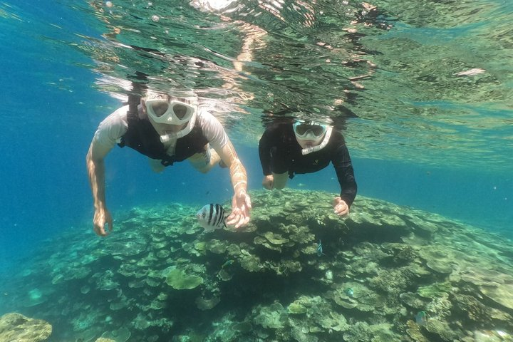 Okinawa: Boat Snorkeling 2 Rounds at Minna, Sesoko or Motobu - Photo 1 of 8
