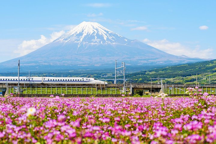 Experience the beauty of Mt. Fuji towering above fields of flowers while traveling by Bullet Train savoring local delicacies and creating unforgettable memories in Fujinomiya's hidden culinary gems.