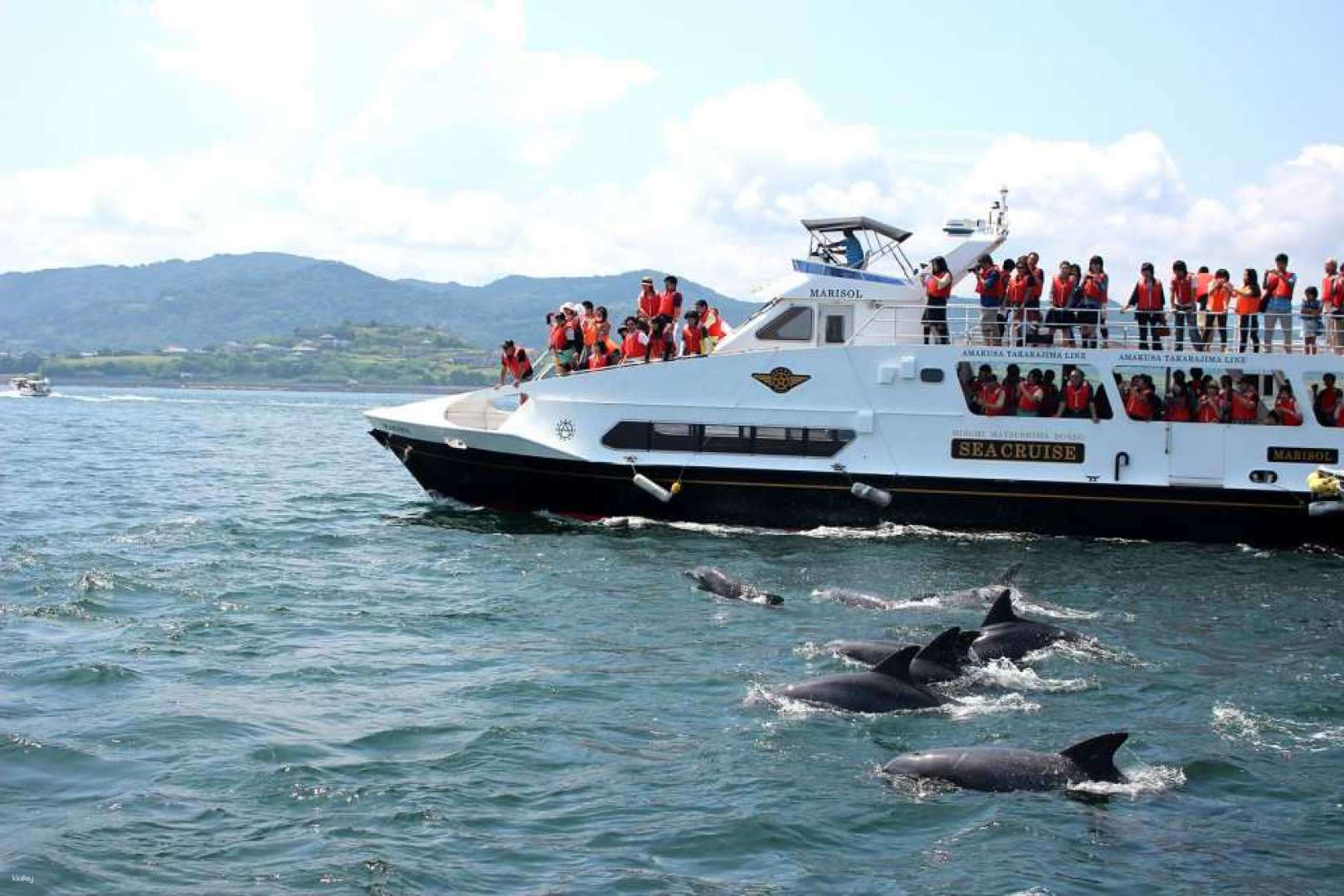 [Route Bus Tour] Amakusa Dolphin Watching & Ocean View Lunch (Round-trip Ticket Included, Departs from Kumamoto) (481/519) - Photo 1 of 10